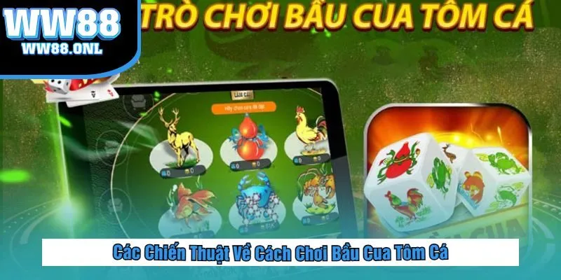 Các Chiến Thuật Về Cách Chơi Bầu Cua Tôm Cá