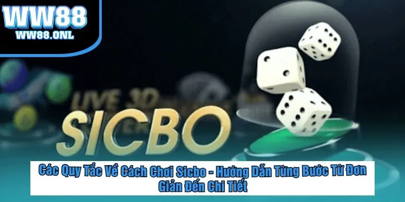 Các Quy Tắc Về Cách Chơi Sicbo - Hướng Dẫn Từng Bước Từ Đơn Giản Đến Chi Tiết