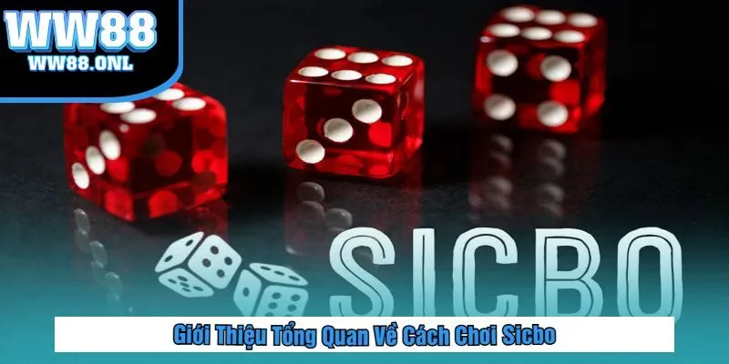 Giới Thiệu Tổng Quan Về Cách Chơi Sicbo