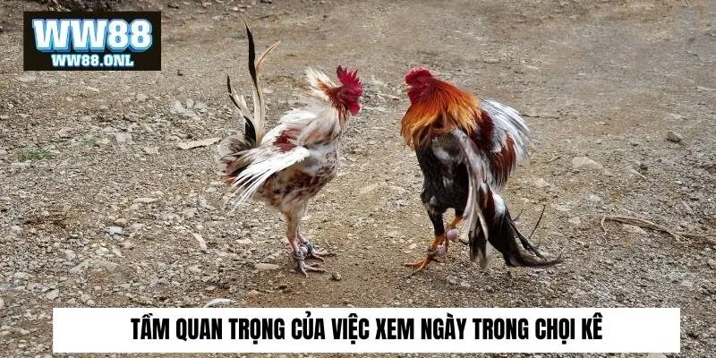 Quy luật tương sinh tương khắc được biểu diễn qua màu lông