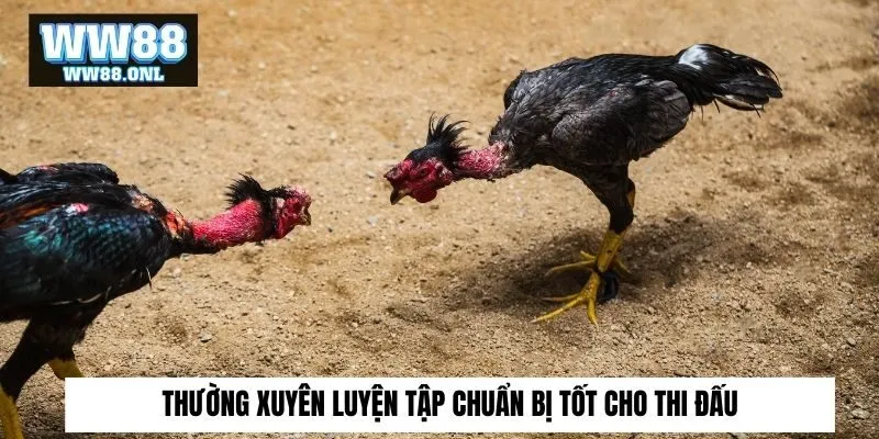 Thường xuyên luyện tập chuẩn bị tốt cho thi đấu
