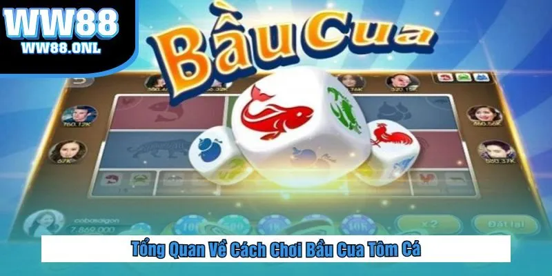 Tổng Quan Về Cách Chơi Bầu Cua Tôm Cá
