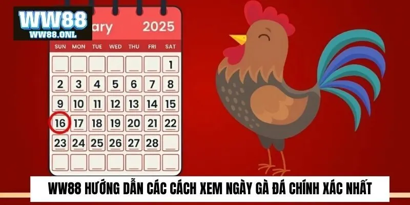 xem ngày gà đá
