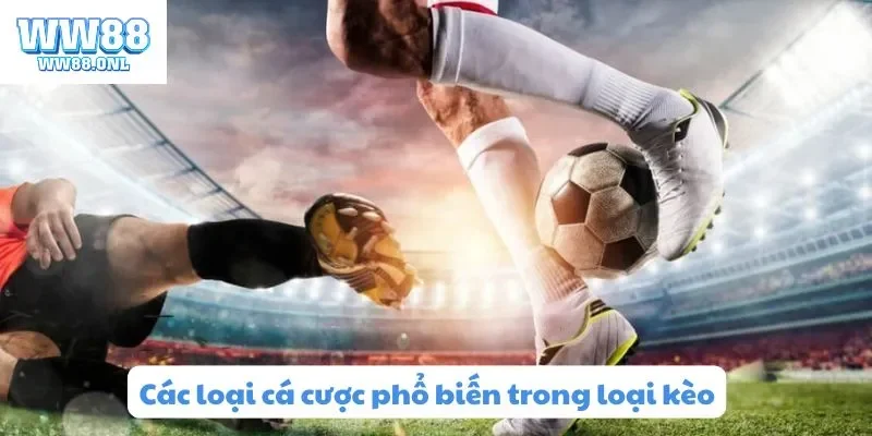 Các loại cá cược phổ biến trong loại kèo