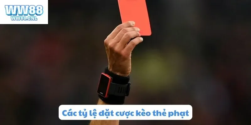 Các tỷ lệ đặt cược kèo thẻ phạt