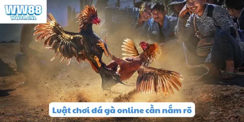 Luật chơi đá gà online cần nắm rõ