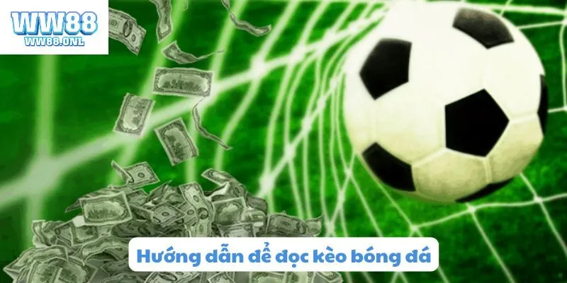 Cùng xem WW88 hướng dẫn cách đọc kèo bóng đá