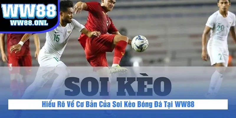 Hiểu Rõ Về Cơ Bản Của Soi Kèo Bóng Đá Tại WW88